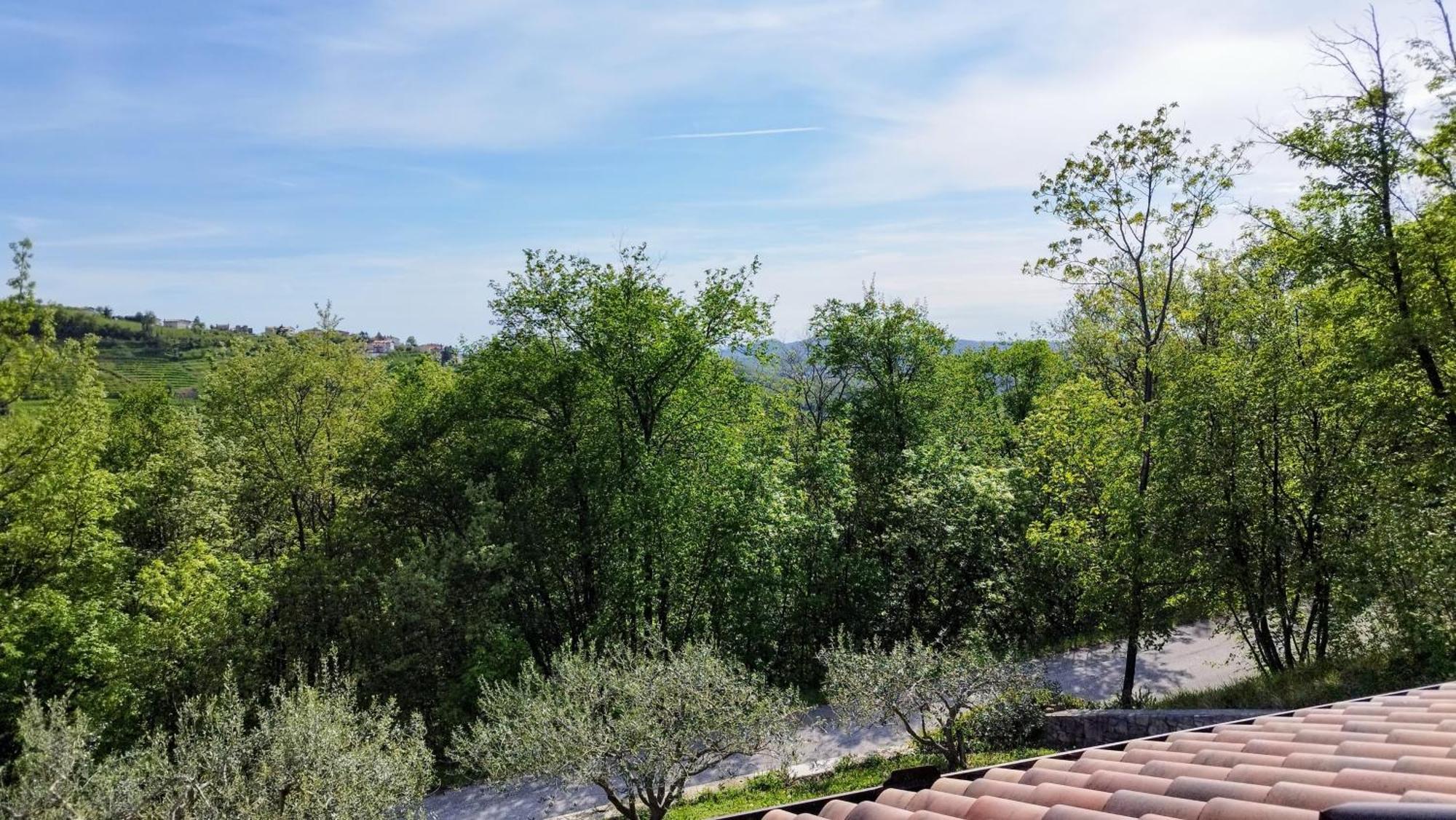 Apartma Lavanda Kojsko Exteriér fotografie